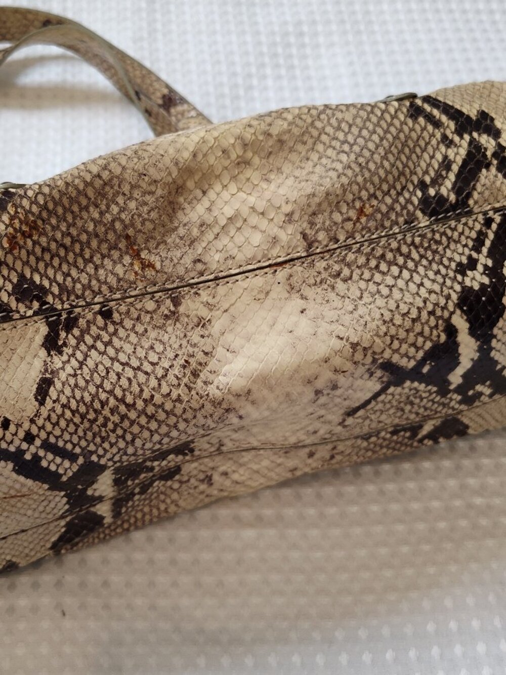 ColeHaan, Trinity Python, Shoulder Bag, Y2K, Spring 2005 - Picture 9 of 12